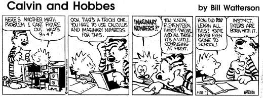 Calvin & Hobbes